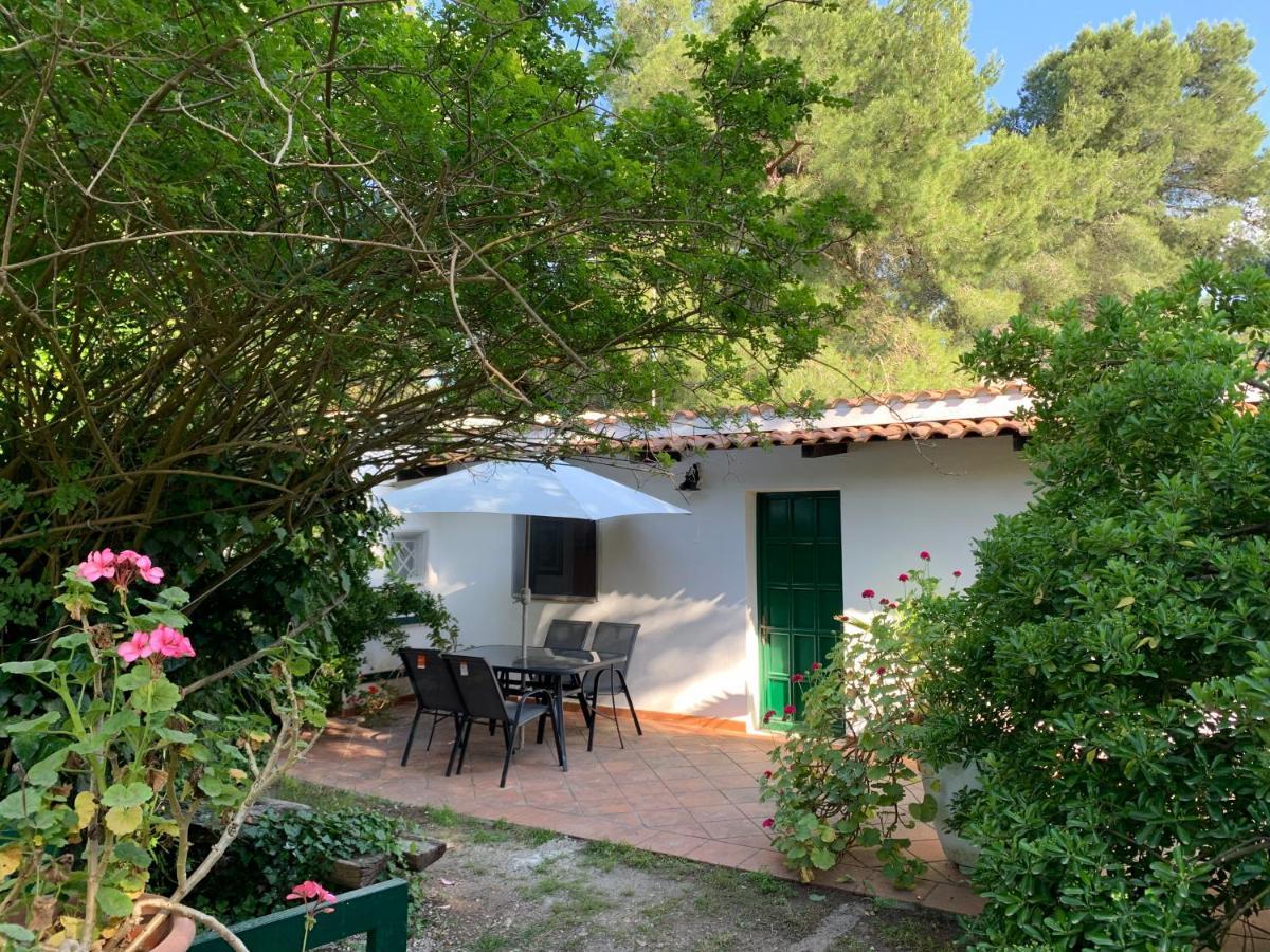 Giulia Holiday home *